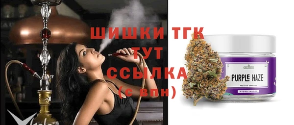 ПСИЛОЦИБИНОВЫЕ ГРИБЫ Алзамай
