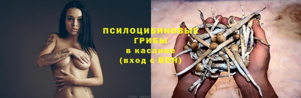 2c-b Алексин