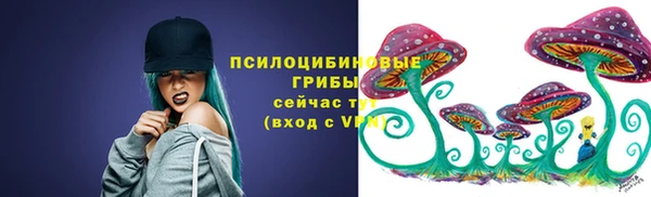 дурь Алексеевка