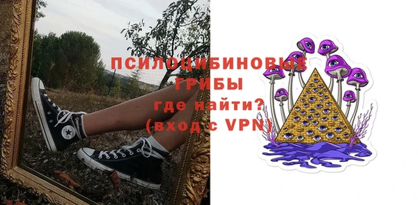 ПСИЛОЦИБИНОВЫЕ ГРИБЫ Алзамай