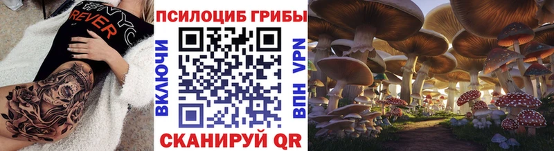 Галлюциногенные грибы мицелий  MEGA сайт  Плавск 